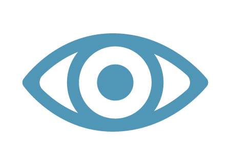 Vision Insurance Icon